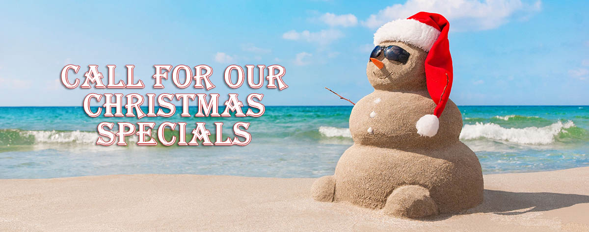 Christmas House Painting Specials